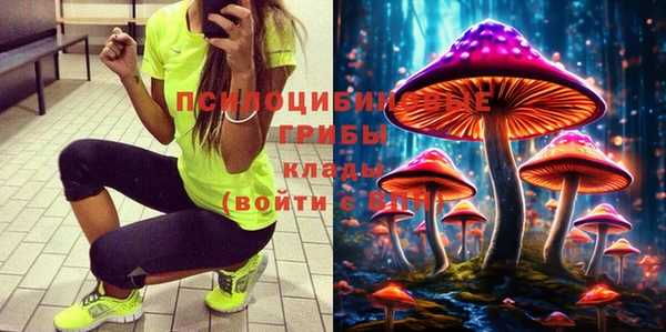 ПСИЛОЦИБИНОВЫЕ ГРИБЫ Вязники