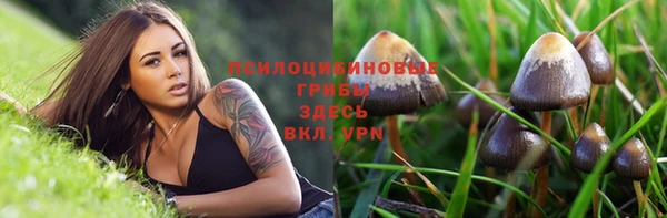 меф Вяземский