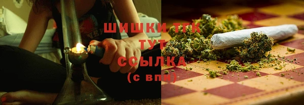 стаф Волоколамск