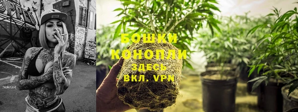 ПСИЛОЦИБИНОВЫЕ ГРИБЫ Вязники
