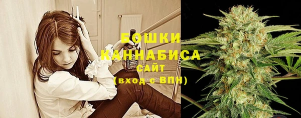 меф Вяземский