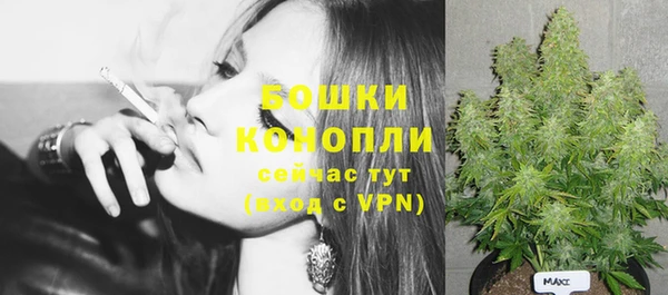 стаф Волоколамск
